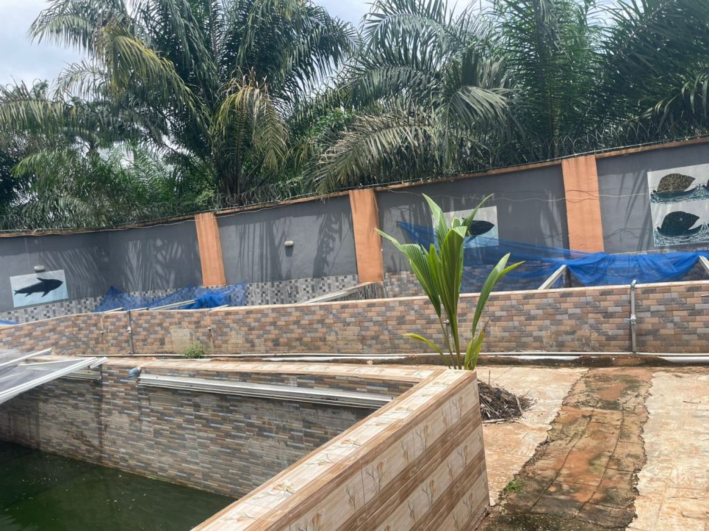 whatsapp image 2025 07 12 at 20.36.27 08f4ad15