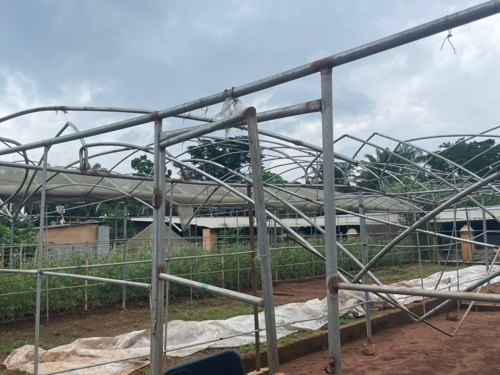 whatsapp image 2025 07 12 at 20.36.28 d47cdc54