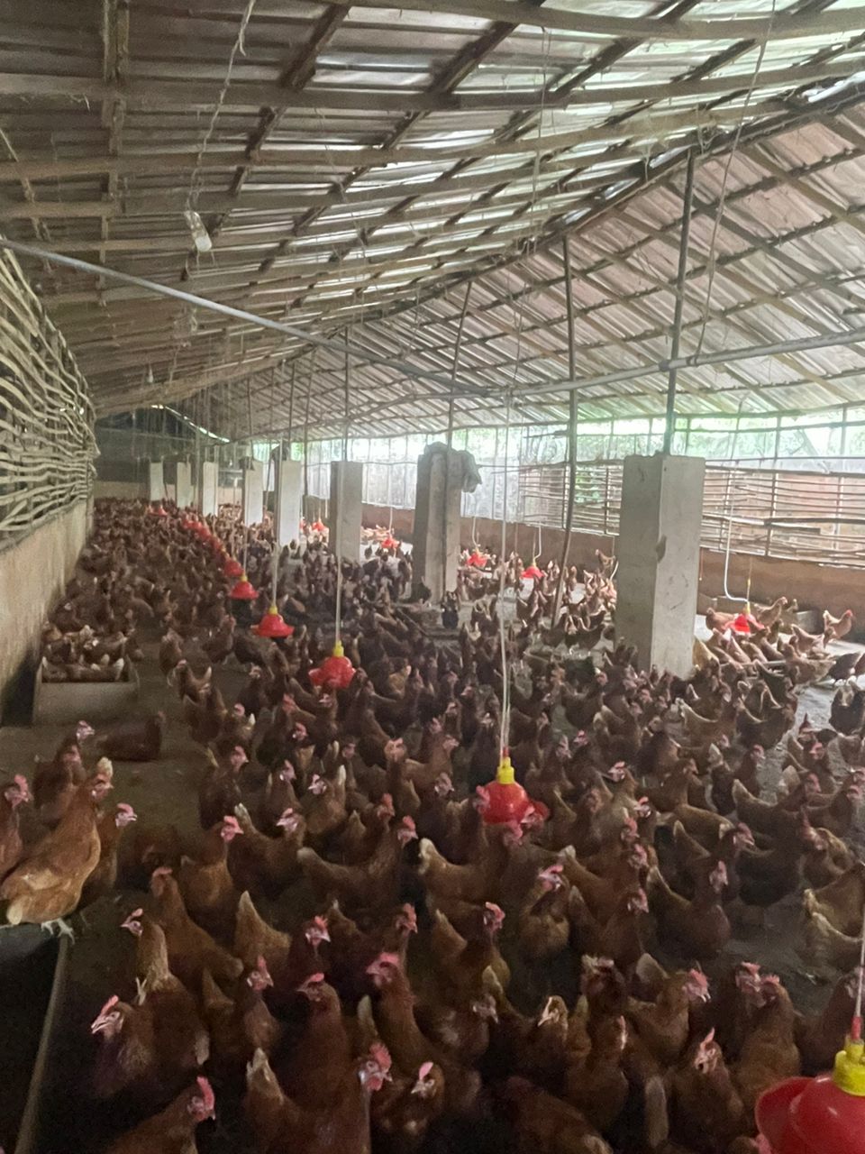 whatsapp image 2025 07 12 at 20.36.29 31e1eca2