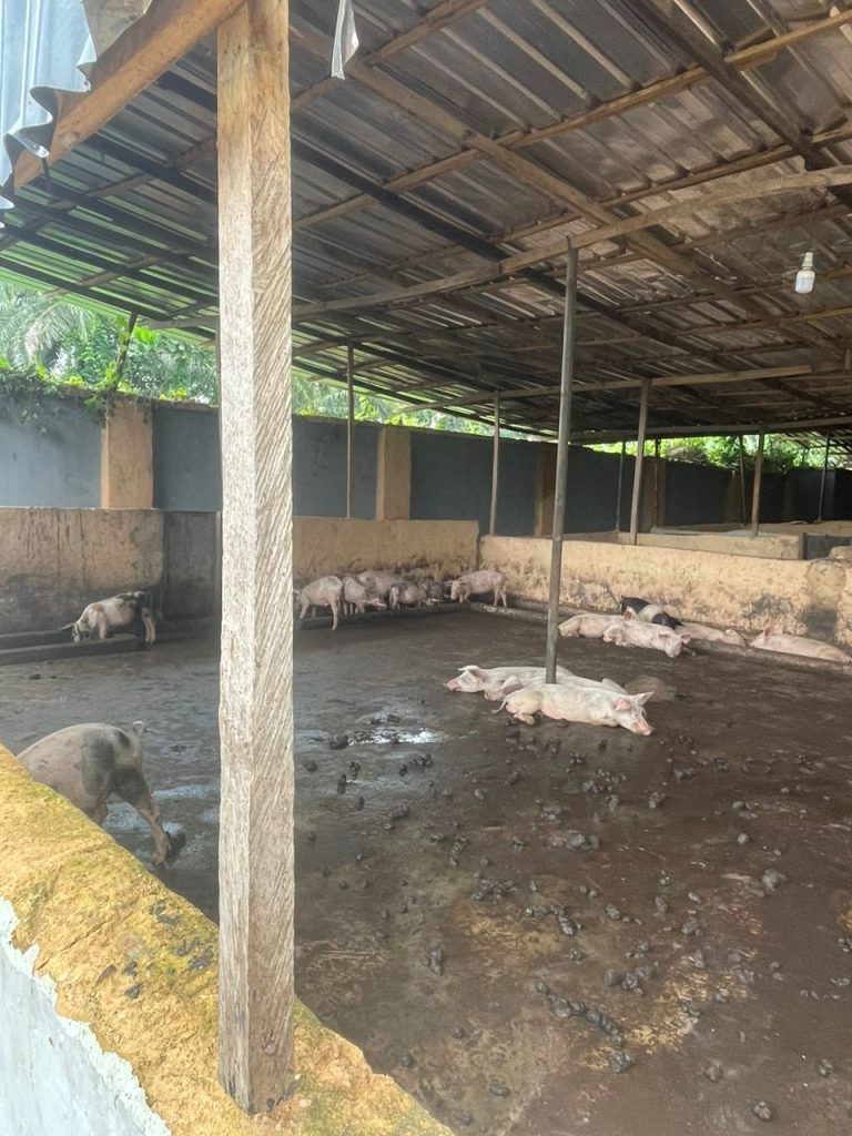 whatsapp image 2025 07 12 at 20.36.29 f4d0863c