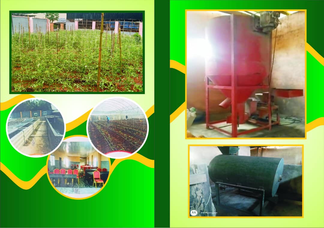 whatsapp image 2025 07 16 at 02.54.05 9fb24233