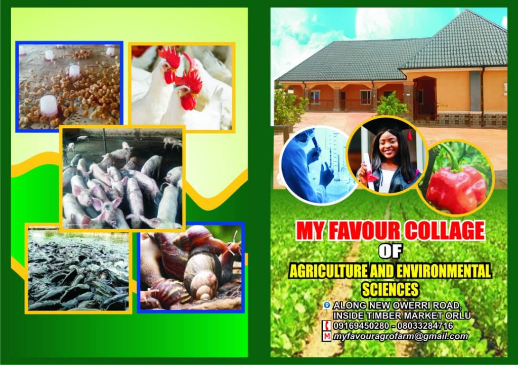 whatsapp image 2025 07 16 at 02.54.05 c2bd6ea2